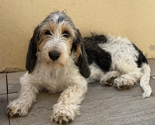 Praxis_Bernstein-Bilder-Lucy.jpg